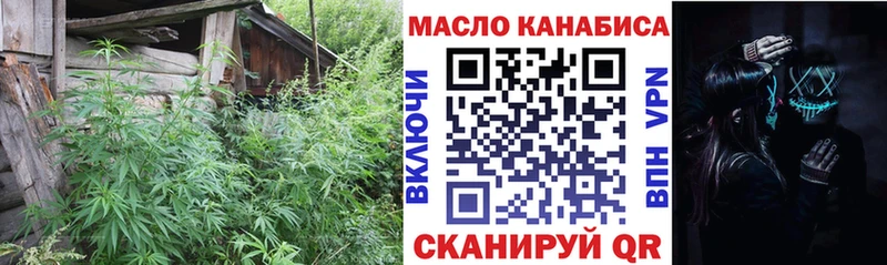 MEGA вход  Кохма  Дистиллят ТГК концентрат  магазин  наркотиков 