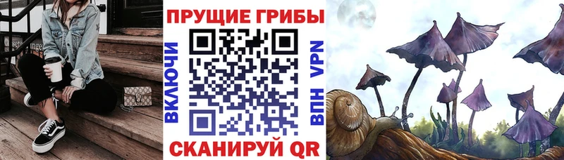 Галлюциногенные грибы Cubensis где купить наркотик Кохма