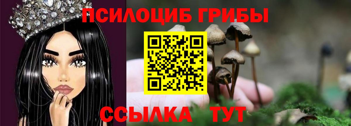 Кохма  Галлюциногенные грибы Psilocybe  где купить   Вход с VPN 